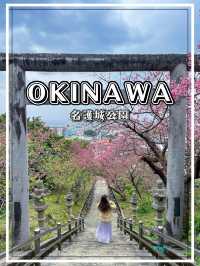 【沖縄】名護市 市街地と海を一望できる桜の名所へ