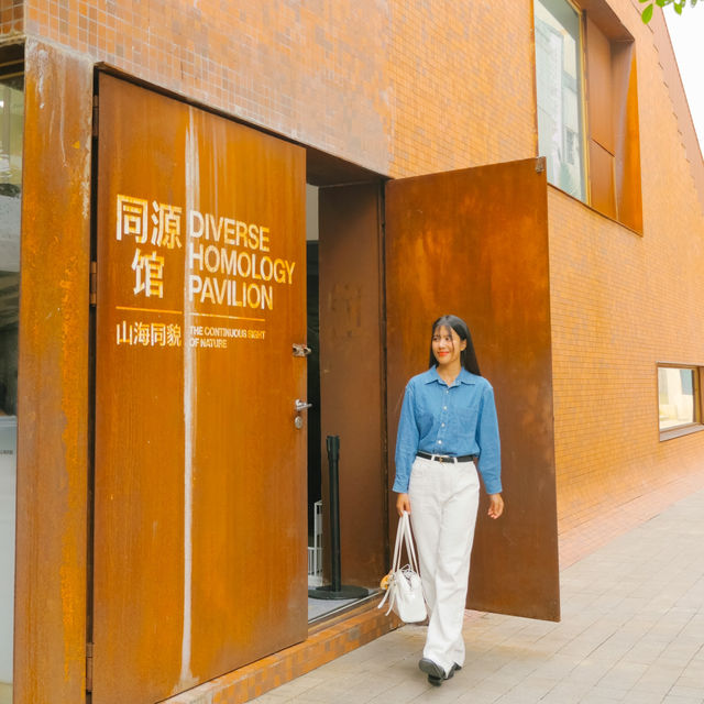 Xin'an Ancient City / Nantou Ancient Town Museum