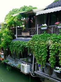 Explore the Timeless Beauty of Zhujiajiao