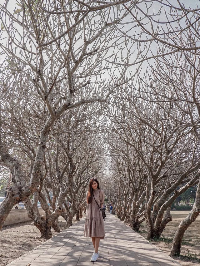 รวม 8 ที่เที่ยวต้องห้ามพลาด จังหวัดน่าน 🌳🌿