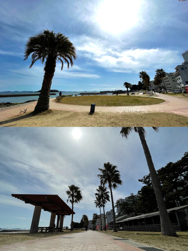 【愛知×吉良海岸】南国を感じられる海水浴場