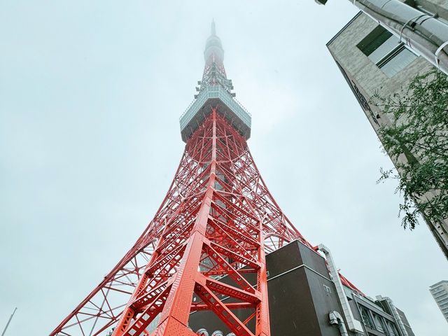 探索東京的美食與風景：築地市場一日遊的完美指南 🍣✨