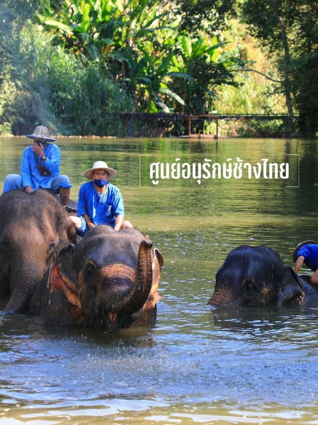 12 ที่เที่ยวเมืองรถม้า I นครลำปาง
