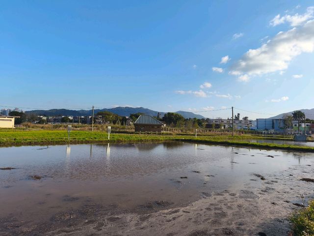 新界北區最新的自然生態公園