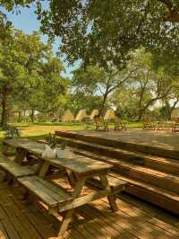 Tropical Eglamping 