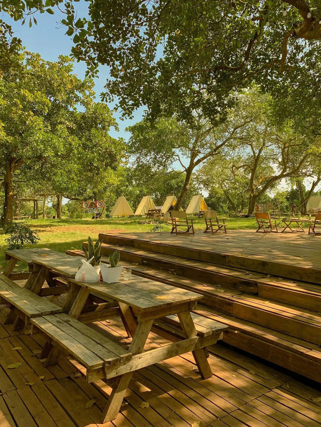 Tropical Eglamping 
