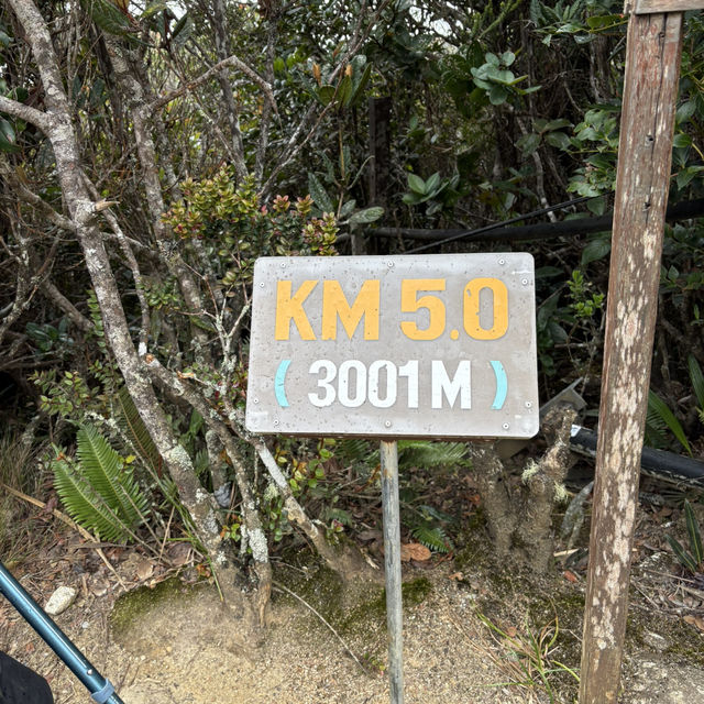 馬來西亞神山