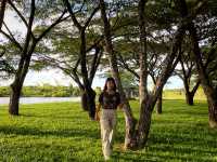 สวนวลัยลักษณ์ 🌳🍃