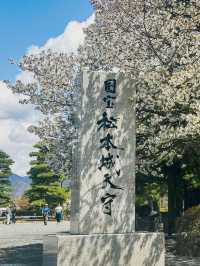 長野旅行🌸松本城。櫻之盛放