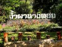 ชมถ้ำผานางคอย ร้องกวาง แพร่
