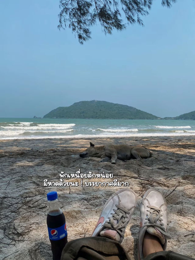 🌳ชวนไปเดินป่าเข้าถ้ำ : ถ้ำพระยานคร 1 day trip 🥾🧳