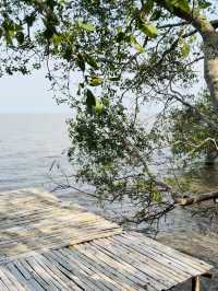 เดินเล่นกลางป่า ชมธรรมชาติที่ สวนพฤกษศาสตร์ พัทลุง