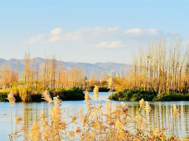 Blooming Beauty - Haigeng Park Kunming in Spring