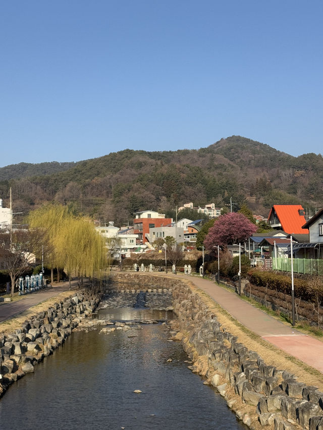 순천 매화 여행코스 추천🌸 하루 만에 다 갈 수 있어요💖