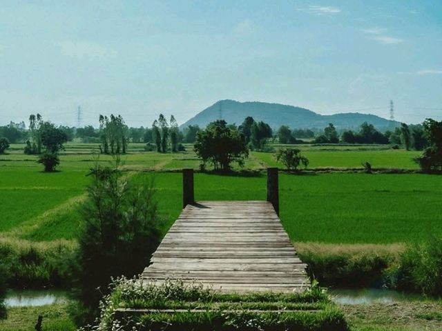 คาเฟ่สุดชิล กลางทุ่งนา ราชบุรี