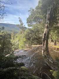 Tasmania Explorer