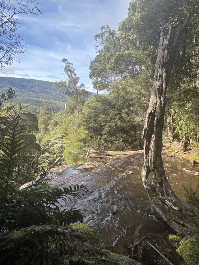 Tasmania Explorer