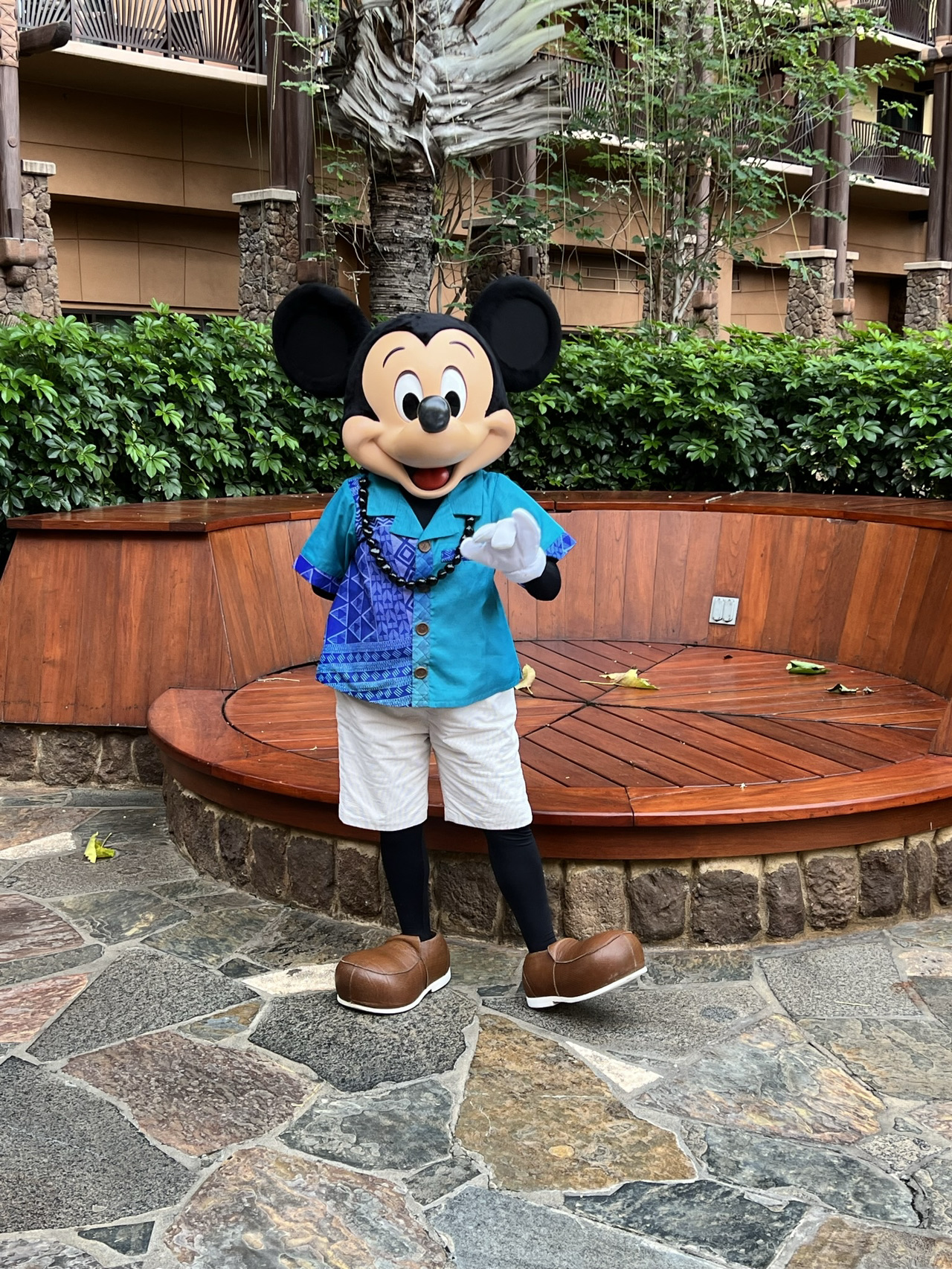 🌺 アウラニ・ディズニー・リゾート＆スパ – 🩷ハワイで楽しむ夢の