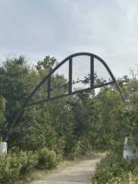 La Collina 近江八幡，草根屋建築童話甜點園區，滋賀必吃甜點