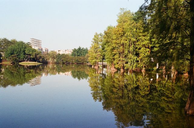 Easy Stroll at the Dafushan Forest Park of Panyu