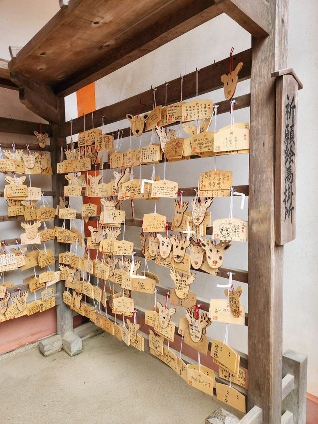 🇯🇵 NARA day trip, and yes, NARA 🦌 bow! 