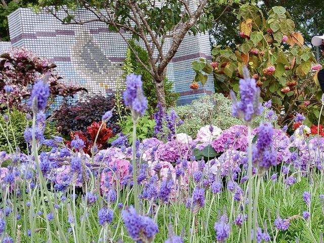 賞花及花伴野餐初體驗在大安森林公園