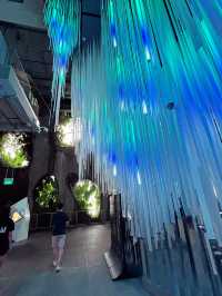 Sakura, Supertrees, and Sundae Bliss! Discovering the Magic of Gardens by the Bay