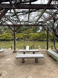 【丸亀】景色多様✨日本最大の広さの文化財庭園✨