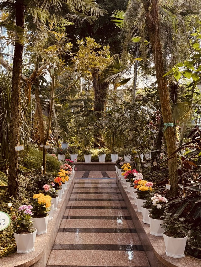 Geumgang's Spring: Where Flowers Throw a Party, and You're Invited