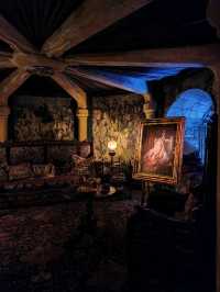 An Amazing Experience for Harry Potter Fans!