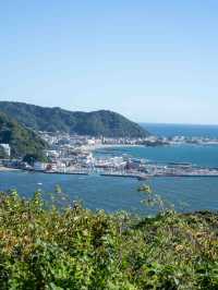 披露山公園🏞️ 逗子の絶景スポット