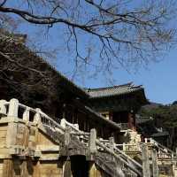 경상북도 경주 1박2일 역사투어