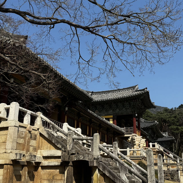 경상북도 경주 1박2일 역사투어 경상북도 경주 1박2일 역사투어