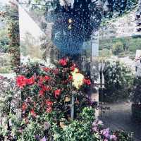 萬里杜鵑花季｜免費賞花好去處，春日漫遊半日遊推薦！
