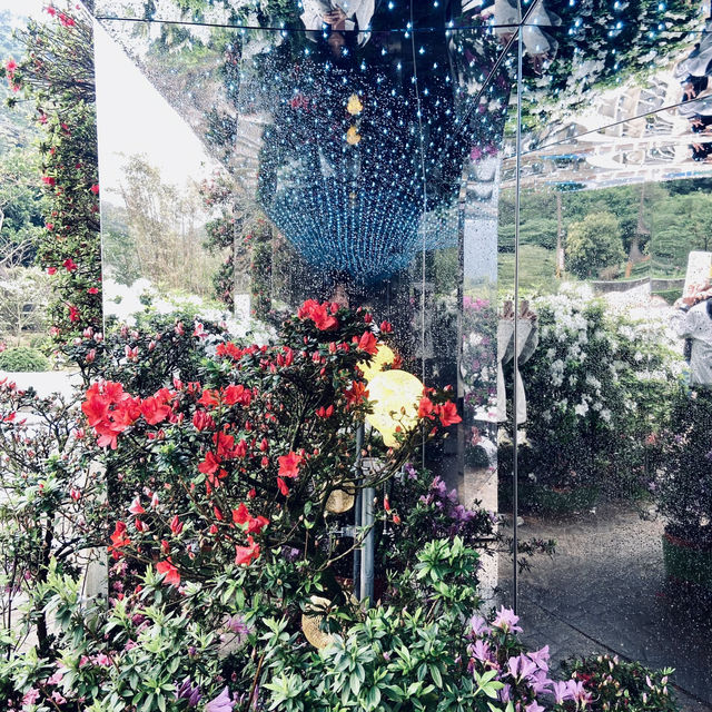 萬里杜鵑花季｜免費賞花好去處，春日漫遊半日遊推薦！