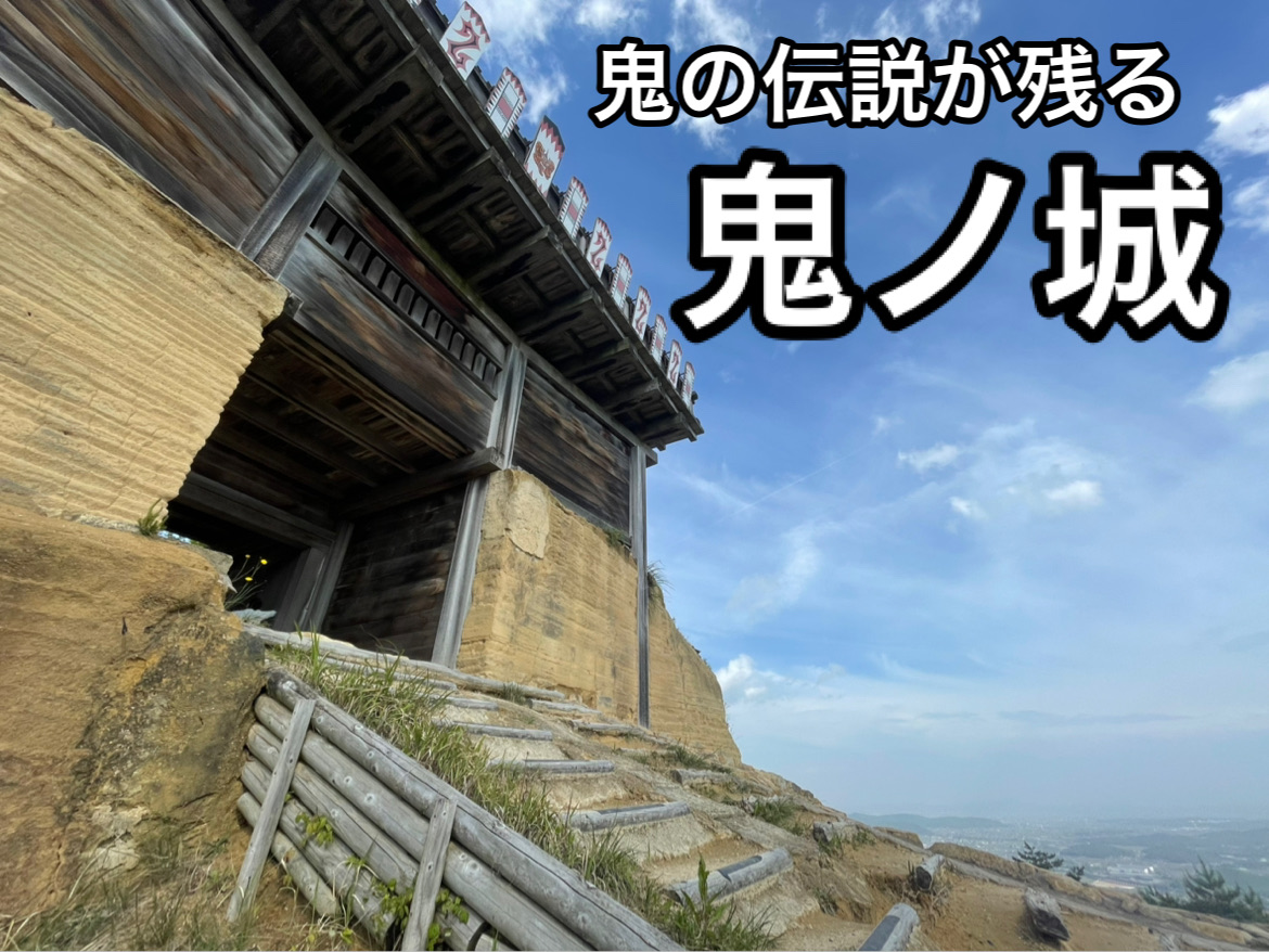 1mi3r224x90gd1t3qD8AB.jpg?proc