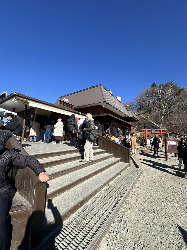 搭天上山公園纜車🚡鳥瞰河口湖嘆絕景富士山🗻