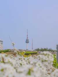 NAMSAN TOWER |  N. SEOUL TOWER  |  남산서울타워