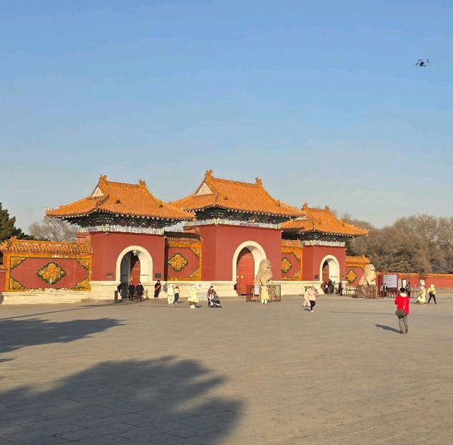 🇨🇳 동북의 최대도시 심양(沈阳)을 7박8일으로 여행하기
