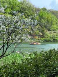 Tortoise Pond– Hangzhou's Hidden Lakeside Sanctuary