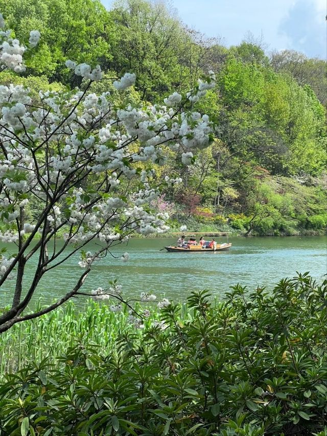 Tortoise Pond– Hangzhou's Hidden Lakeside Sanctuary