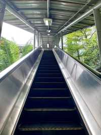 “Ride Green, See KL Clean: Discover the City with Monorail”