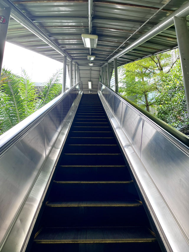 “Ride Green, See KL Clean: Discover the City with Monorail”