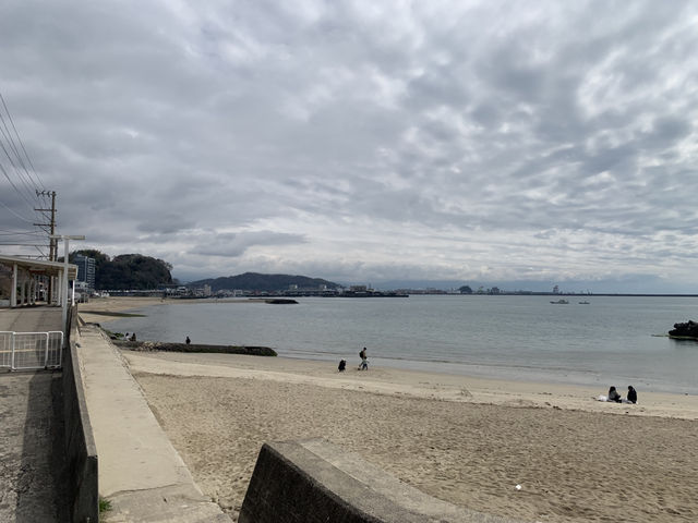 마쓰야마 벚꽃 여행