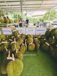 เที่ยวจันทบุรี นอนกลางสวนผลไม้ เดินเล่นตลาดเก่าแก่