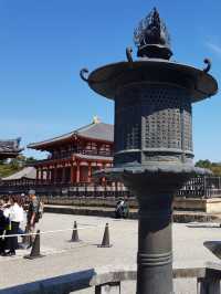 ✅【興福寺 攻略ガイド】  阿修羅に会いに行こう！国宝だらけを制覇する旅