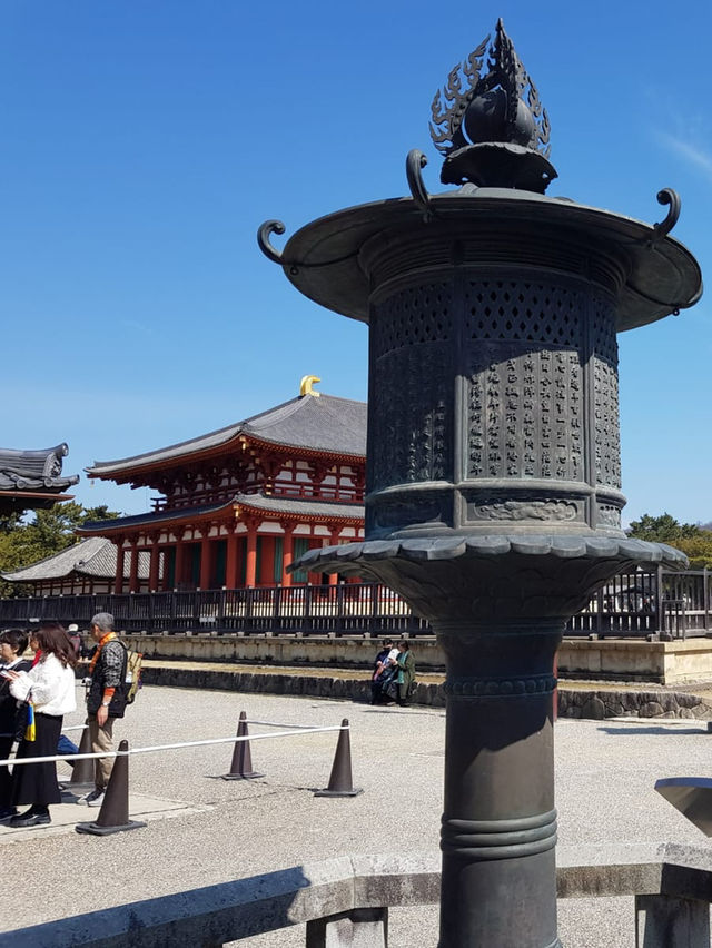 ✅【興福寺 攻略ガイド】  阿修羅に会いに行こう！国宝だらけを制覇する旅