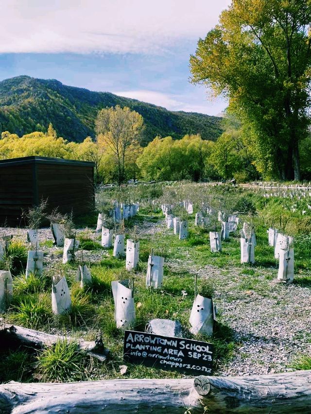 新西蘭著名旅遊小鎮箭鎮旅行攻略，適合打卡拍照📸