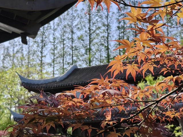 鳥語花香很有特色的一個公園