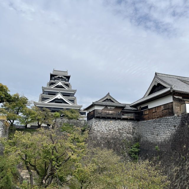 熊本一日遊🇯🇵熊本城+水前寺成趣園